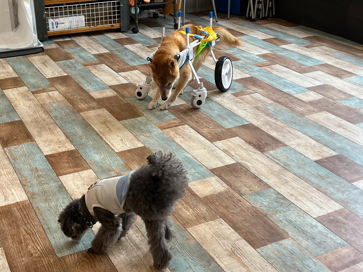 室内プレーゾーン